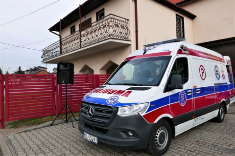 Zdjęcie - 
