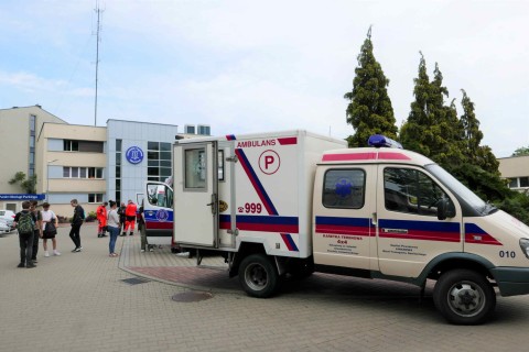 Zdjęcie - 