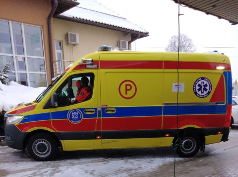Zdjęcie - 