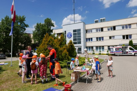 Zdjęcie - 