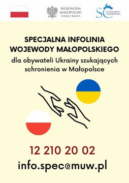 Zdjęcie - 
